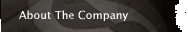About the Company