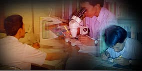 Research & Development